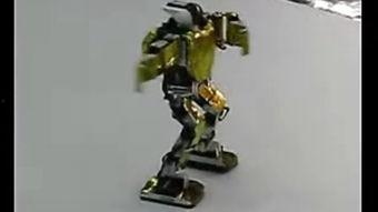 最新爆料国产机器人视频,智能新篇章，科技实力再升级